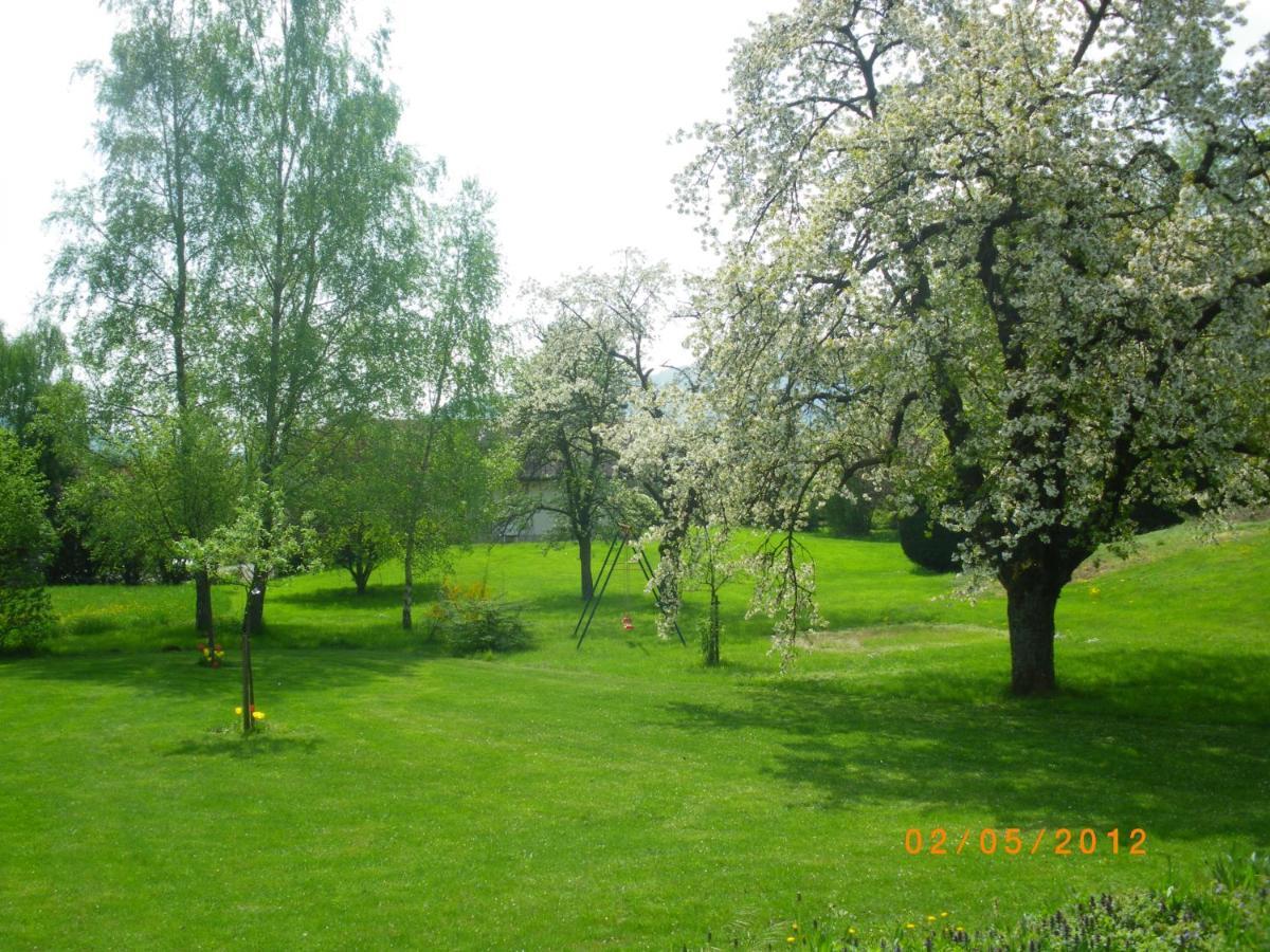 Entre Thur Et Montagne Bed & Breakfast Willer-sur-Thur Екстериор снимка