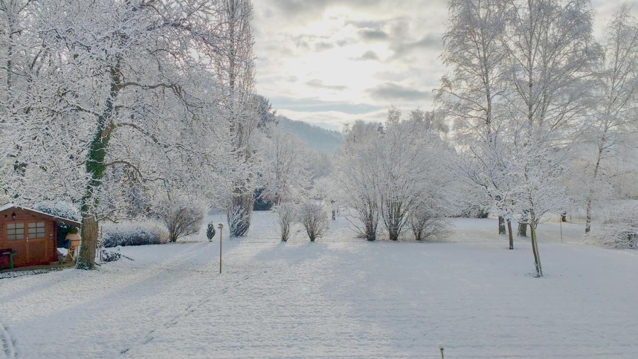 Entre Thur Et Montagne Bed & Breakfast Willer-sur-Thur Екстериор снимка